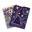 Scarlet & Violet Paldean Fates Mimikyu Divider (4x)