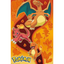 Pokemon Fire Type Poster