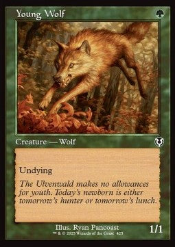 Young Wolf (V.2) - Innistrad Remastered: Extras (Common) [XINR-425] Main image