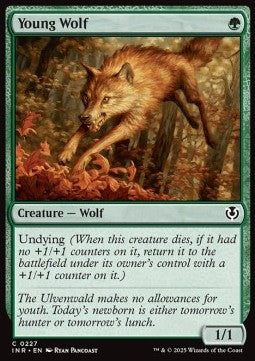 Young Wolf - Innistrad Remastered (Common) [INR-227] Hauptbild
