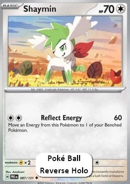 Shaymin Hauptbild