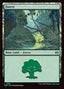 Forest – Tarkir: Dragonstorm (TDM-285) Magic: The Gathering card | LC-REM-20260804-15340023513420-8100bceb-ffba-487a-bb45-4fe2a156a8dc