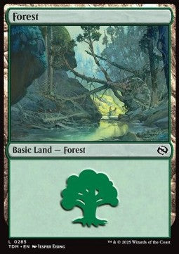 Forest (V.2) - Tarkir: Dragonstorm (Land) [TDM-285] Imagen principal del producto