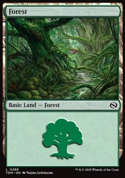 Forest (V.3) - Tarkir: Dragonstorm (Land) [TDM-286] Imagen principal del producto