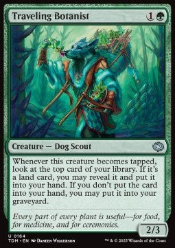Traveling Botanist - Tarkir: Dragonstorm (Uncommon) [TDM-164] Hauptbild