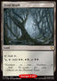 Fetid Heath - Commander: Magic: The Gathering - FINAL FANTASY: Collector's Edition (Rare) [CFIC-391]