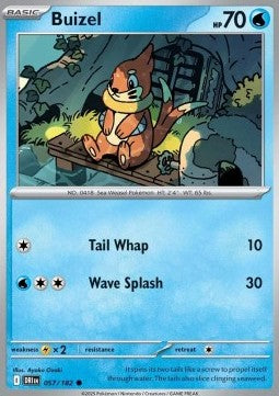 Buizel - Destined Rivals (Common) [DRI-057] Hover Image