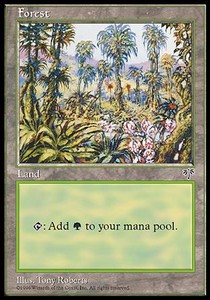 Forest (V.1) Hoofdafbeelding