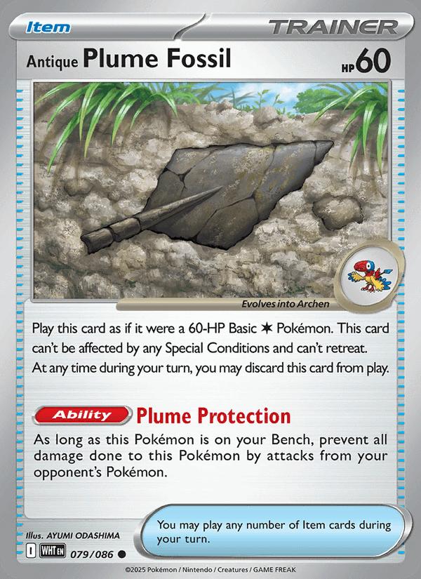 Antique Plume Fossil - White Flare (Common) [WHT-079] Image principale du produit
