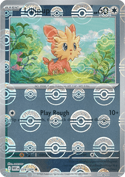 Lillipup Hauptbild