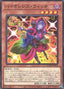 Vengeful Witch — Doom of Dimensions (OCG) (DOOD-JP-004) Yu-Gi-Oh! card