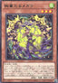 Radiant Typhoon Meghala (V.1 - Rare) - Doom of Dimensions (OCG) (Rare) [DOOD-JP-012]