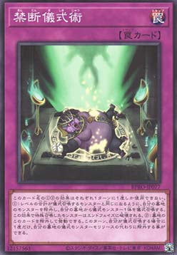 Forbidden Ritual Art - Burst Protocol (OCG) (Common) [BPRO-JP-077]