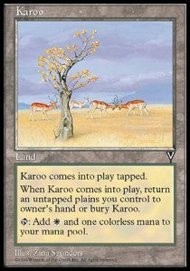 Karoo Image principale du produit