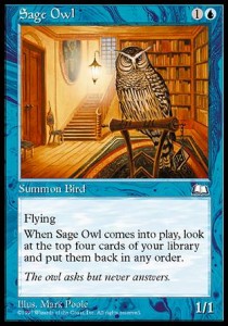Sage Owl Hoofdafbeelding