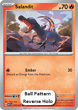 Salandit Hauptbild