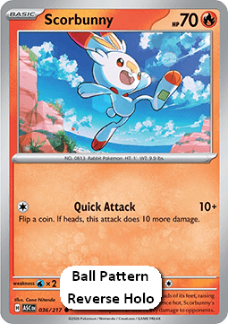 Scorbunny - Ascended Heroes: Additionals (Common) [xASC-036] Immagine principale del prodotto