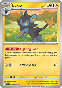 Luxio - Perfect Order (Uncommon) [POR-027] Hauptbild