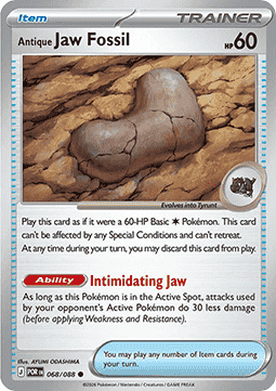 Antique Jaw Fossil - Perfect Order (Common) [POR-068] Imagen principal del producto