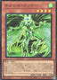 Nemeses Corridor — Limit Over Collection: The Rivals (LOCR-JP-042) Yu-Gi-Oh! card