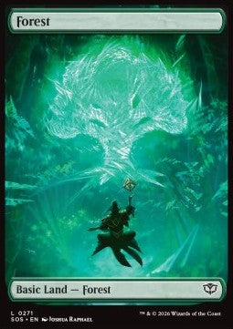 Forest (V.1) - Secrets of Strixhaven (Land) [SOS-271] Image principale du produit