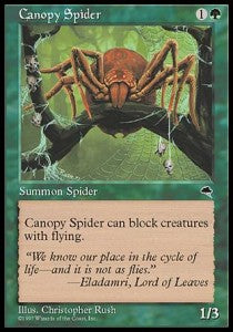Canopy Spider - Tempest (Common) Main image