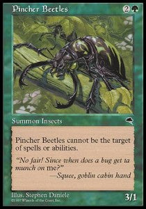 Pincher Beetles - Tempest (Common) Main image