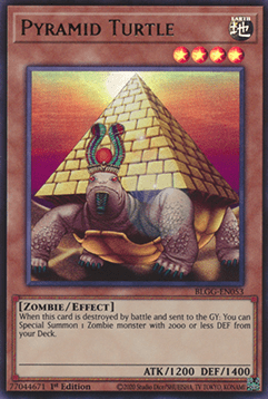 Pyramid Turtle Hoofdafbeelding