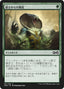Magic-kaart Shed Weakness UMA-181 uit Ultimate Masters (Common)