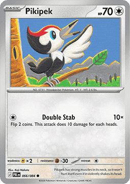Pikipek Main image