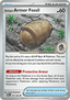 Antique Armor Fossil