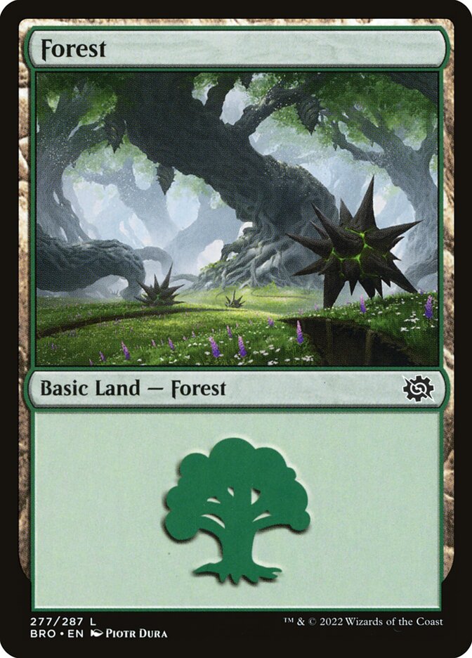 Forest (V.4) - The Brothers' War (Land) [BRO-277] Main image