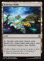 Evolving Wilds – Lorwyn Eclipsed (ECL-264) Magic: The Gathering card