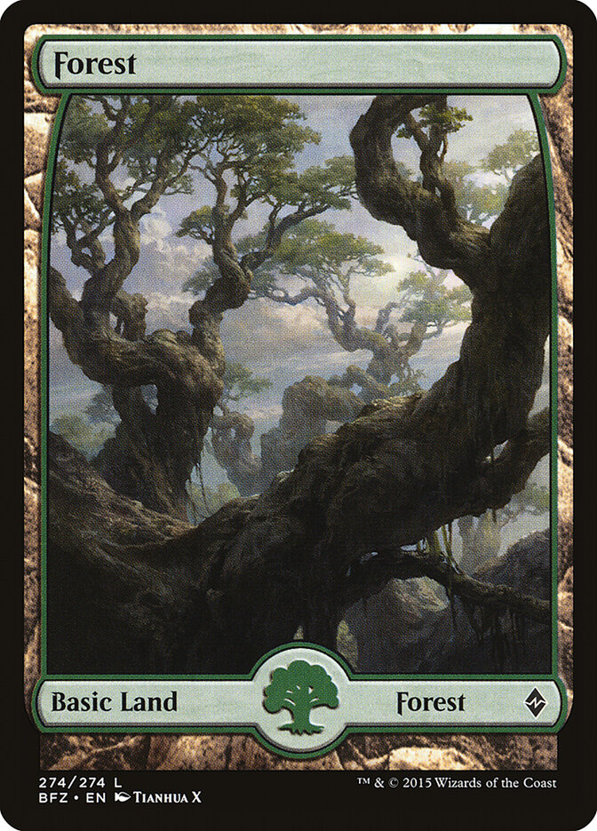 Forest (V.9) - Battle for Zendikar (Land) [BFZ-274] Main image