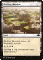 Drifting Meadow - Dominaria Remastered (Common) [DMR-245]