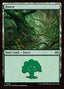 Forest – Tarkir: Dragonstorm (TDM-286) Magic: The Gathering card | LC-REM-20260804-15340024365388-8e3e83d2-96ba-4d5c-a1ed-6c08a90b339c