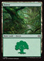 Magic-kaart Forest TDM-286 uit Tarkir: Dragonstorm (Land)