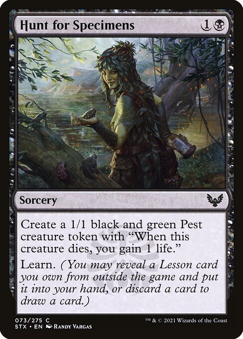 Hunt for Specimens – Strixhaven: School of Mages (STX-73) Magic: The Gathering card Hauptbild