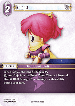 Ninja (15-095)