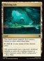 Thriving Isle – Teenage Mutant Ninja Turtles Eternal (TMC-78) Magic: The Gathering card | LC-REM-20260804-15715815260492-90bf15bd-4167-4a66-8729-73af5c65692a