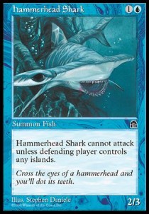 Hammerhead Shark Hauptbild