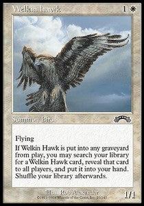 Welkin Hawk Hauptbild