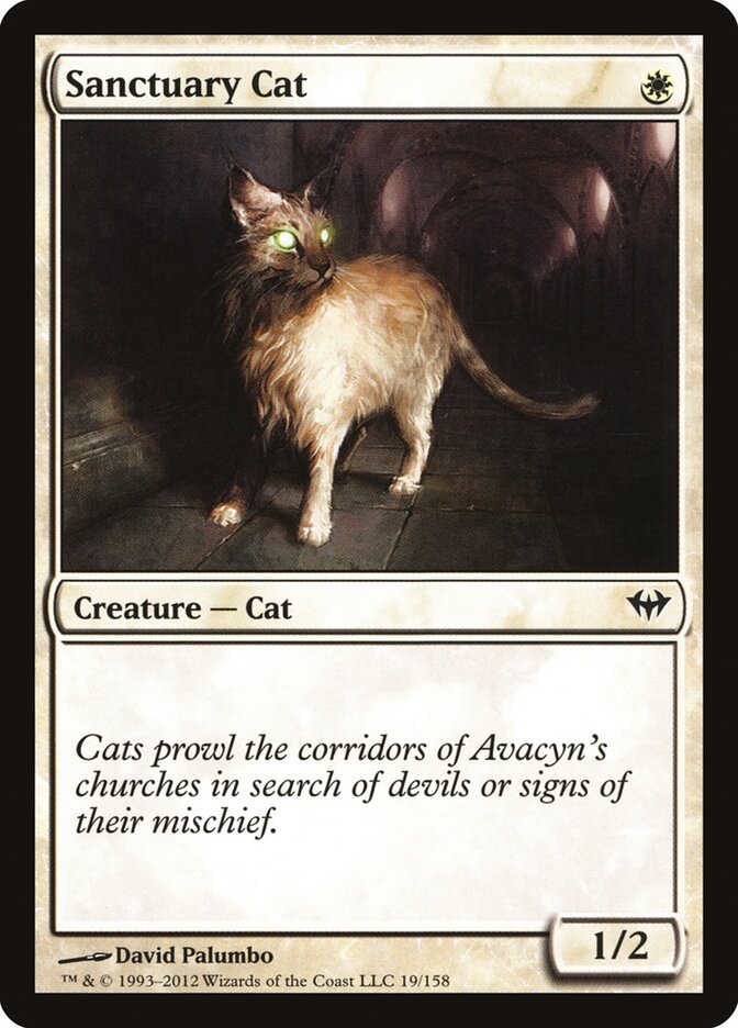 Sanctuary Cat - Dark Ascension (Common) [DKA-19] Hauptbild