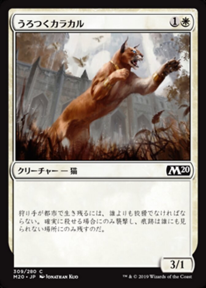 Magic-kaart Prowling Caracal M20-309 uit Core Set 2020 (Common) Immagine principale del prodotto