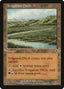 Irrigation Ditch - Invasion (Common) [INV-324]