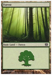 Forest (V.2) Hauptbild