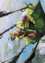 Nael, Avizoa Aeronaut // Nael, Avizoa Aeronaut – Dominaria United Art Series (ADMU-51) Magic: The Gathering card | LC-REM-20260804-15151601156428-993ee256-310f-40b9-a63b-0185db7f6338