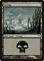 Swamp – Champions of Kamigawa (CHK-295) Magic: The Gathering card