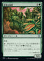 Magic-kaart Overgrown Battlement NCC-303 uit New Capenna Commander (Uncommon)