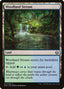 Woodland Stream - Kaladesh (Common) [KLD-274]
